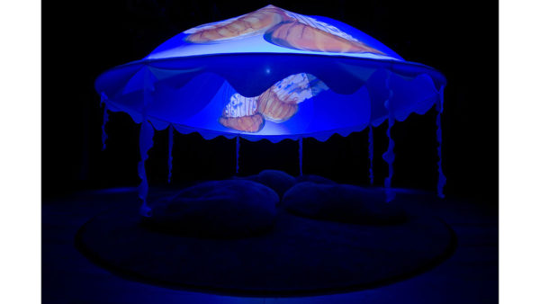 2017 Convergence: Digital Media and Technology