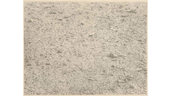 2018 – 2019 Terrain: The Space Between from the Collections of Jordan D. Schnitzer and His Family Foundation