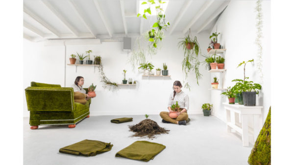 2019.06 Nat Evans: Mutual Therapy