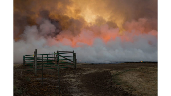 2018-2019 Field Burns: Patrick Collier