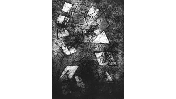 2009 Recent Additions to the Permanent Collection of the Schneider Museum of Art