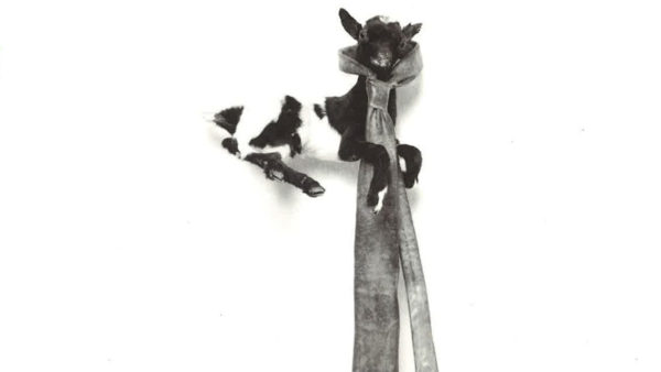 1994 Terry Allen: Recent Bronzes and Drawings