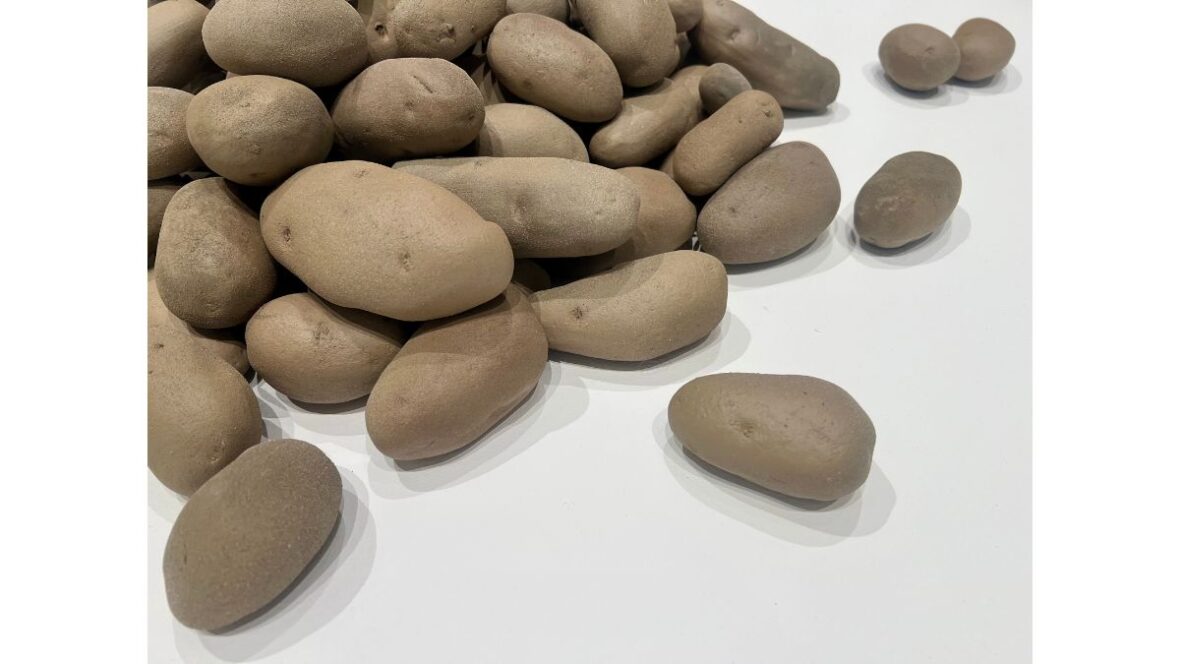 Underdone Potato: Michelle Grabner